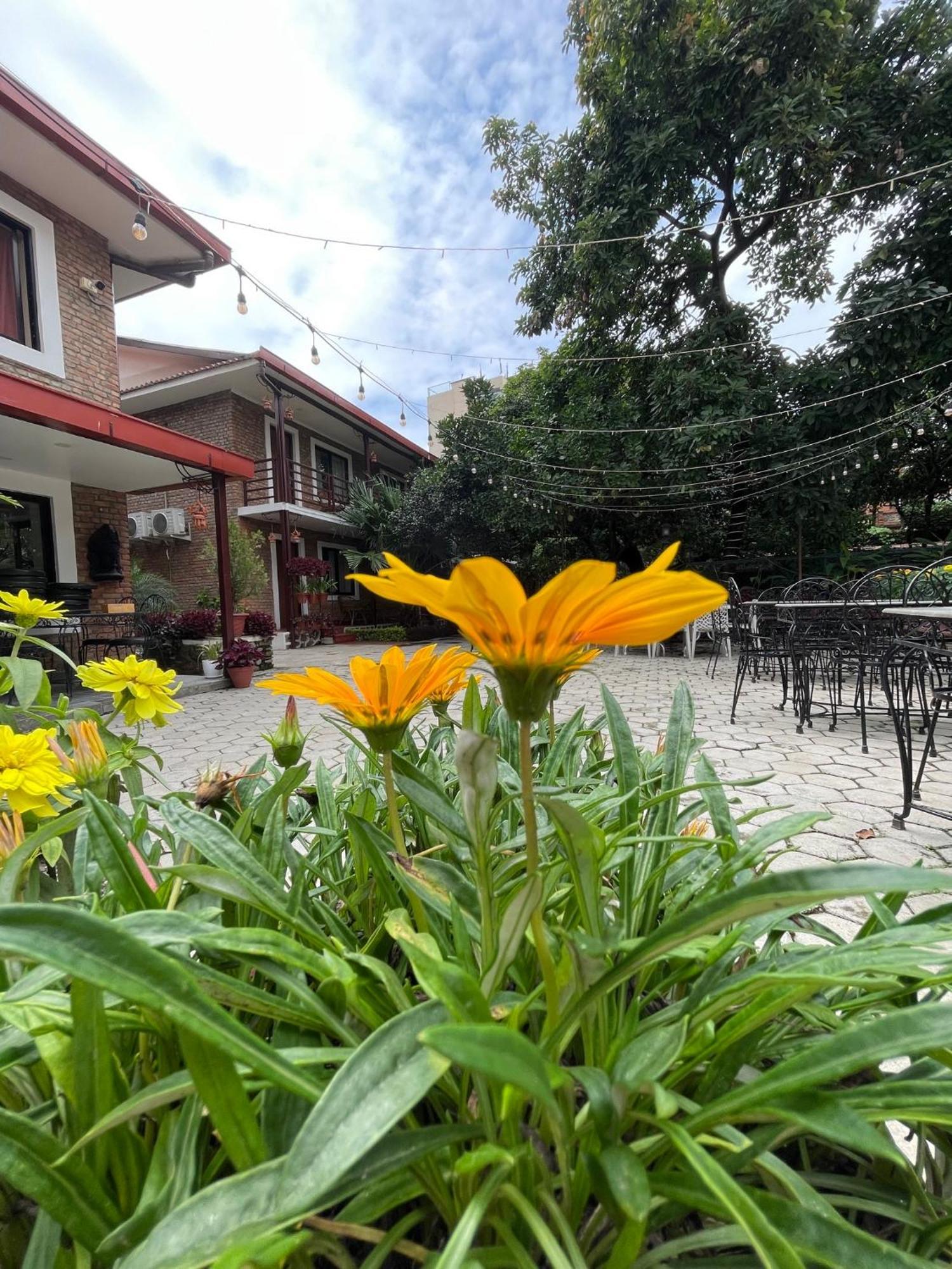 Nepal Cottage Resort Kathmandu Esterno foto